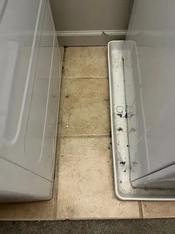 Dirty tile floor and drip tray beside a washing machine before deep cleaning