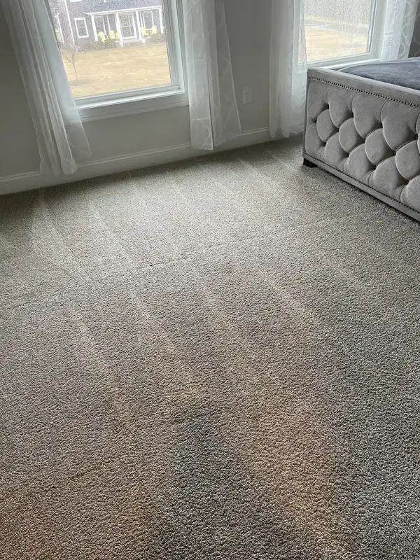 The same carpet with fresh vacuum lines, Suffield, CT