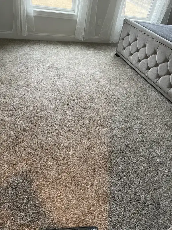 Bedroom carpet before vacuuming, Suffield, CT